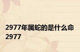 2977年属蛇的是什么命 2977 