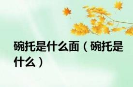 碗托是什么面（碗托是什么）