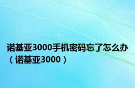 诺基亚3000手机密码忘了怎么办（诺基亚3000）