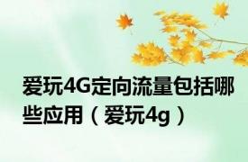 爱玩4G定向流量包括哪些应用（爱玩4g）