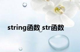 string函数 str函数 