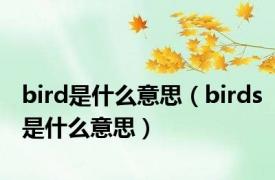 bird是什么意思（birds是什么意思）