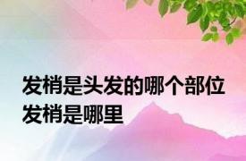 发梢是头发的哪个部位 发梢是哪里 