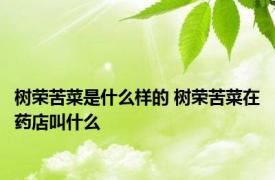 树荣苦菜是什么样的 树荣苦菜在药店叫什么 