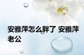 安雅萍怎么胖了 安雅萍老公 