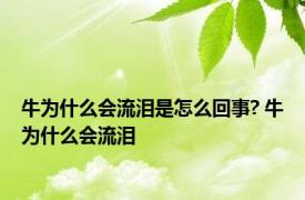 牛为什么会流泪是怎么回事? 牛为什么会流泪 