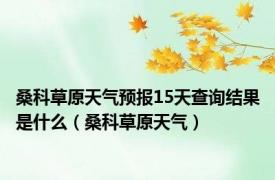 桑科草原天气预报15天查询结果是什么（桑科草原天气）