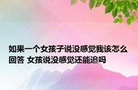 如果一个女孩子说没感觉我该怎么回答 女孩说没感觉还能追吗 