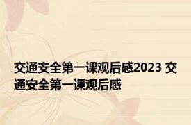 交通安全第一课观后感2023 交通安全第一课观后感 