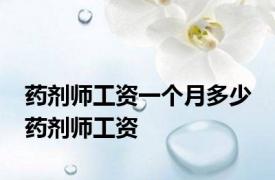 药剂师工资一个月多少 药剂师工资 