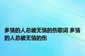 多情的人总被无情的伤歌词 多情的人总被无情的伤 