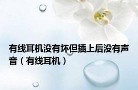 有线耳机没有坏但插上后没有声音（有线耳机）