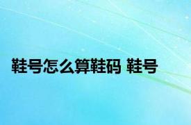 鞋号怎么算鞋码 鞋号 