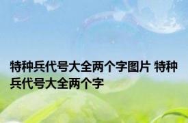 特种兵代号大全两个字图片 特种兵代号大全两个字 