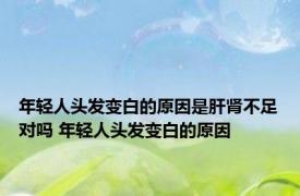 年轻人头发变白的原因是肝肾不足对吗 年轻人头发变白的原因 