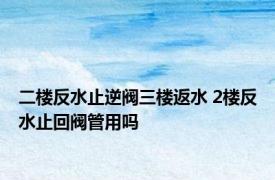 二楼反水止逆阀三楼返水 2楼反水止回阀管用吗 