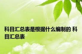 科目汇总表是根据什么编制的 科目汇总表 