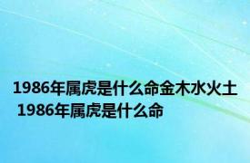 1986年属虎是什么命金木水火土 1986年属虎是什么命 