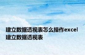 建立数据透视表怎么操作excel 建立数据透视表 