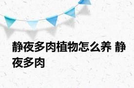 静夜多肉植物怎么养 静夜多肉 