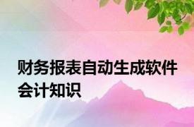 财务报表自动生成软件 会计知识 