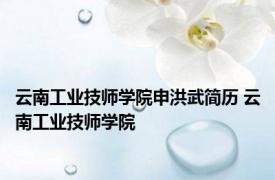 云南工业技师学院申洪武简历 云南工业技师学院 