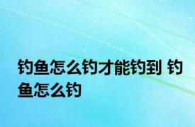 钓鱼怎么钓才能钓到 钓鱼怎么钓 