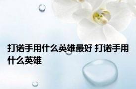 打诺手用什么英雄最好 打诺手用什么英雄 