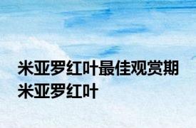 米亚罗红叶最佳观赏期 米亚罗红叶 