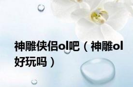 神雕侠侣ol吧（神雕ol好玩吗）