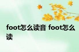 foot怎么读音 foot怎么读 