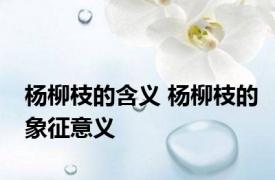 杨柳枝的含义 杨柳枝的象征意义 