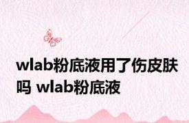 wlab粉底液用了伤皮肤吗 wlab粉底液 