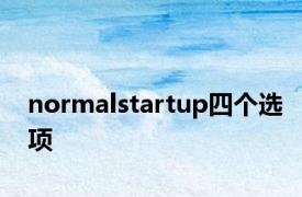 normalstartup四个选项