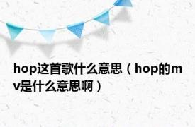 hop这首歌什么意思（hop的mv是什么意思啊）