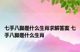 七手八脚是什么生肖求解答案 七手八脚是什么生肖 