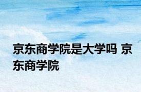 京东商学院是大学吗 京东商学院 