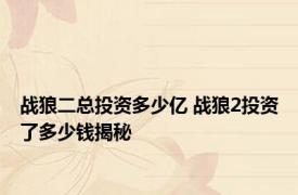 战狼二总投资多少亿 战狼2投资了多少钱揭秘 