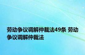 劳动争议调解仲裁法49条 劳动争议调解仲裁法 