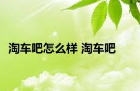 淘车吧怎么样 淘车吧 