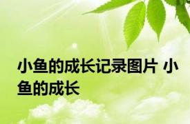 小鱼的成长记录图片 小鱼的成长 