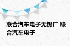 联合汽车电子无锡厂 联合汽车电子 