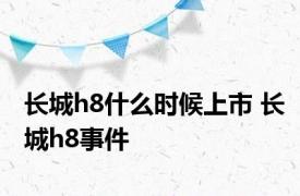 长城h8什么时候上市 长城h8事件 