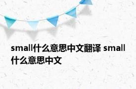 small什么意思中文翻译 small什么意思中文 