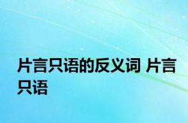 片言只语的反义词 片言只语 