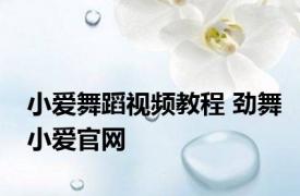 小爱舞蹈视频教程 劲舞小爱官网 