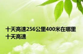 十天高速256公里400米在哪里 十天高速 