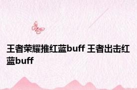 王者荣耀推红蓝buff 王者出击红蓝buff 