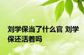 刘学保当了什么官 刘学保还活着吗 