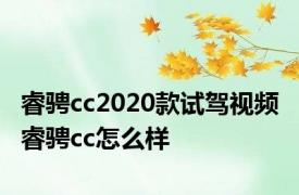 睿骋cc2020款试驾视频 睿骋cc怎么样 